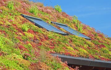 Brilley Mountain living roof systems