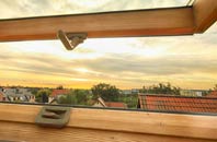 rated Brilley Mountain roof window companies